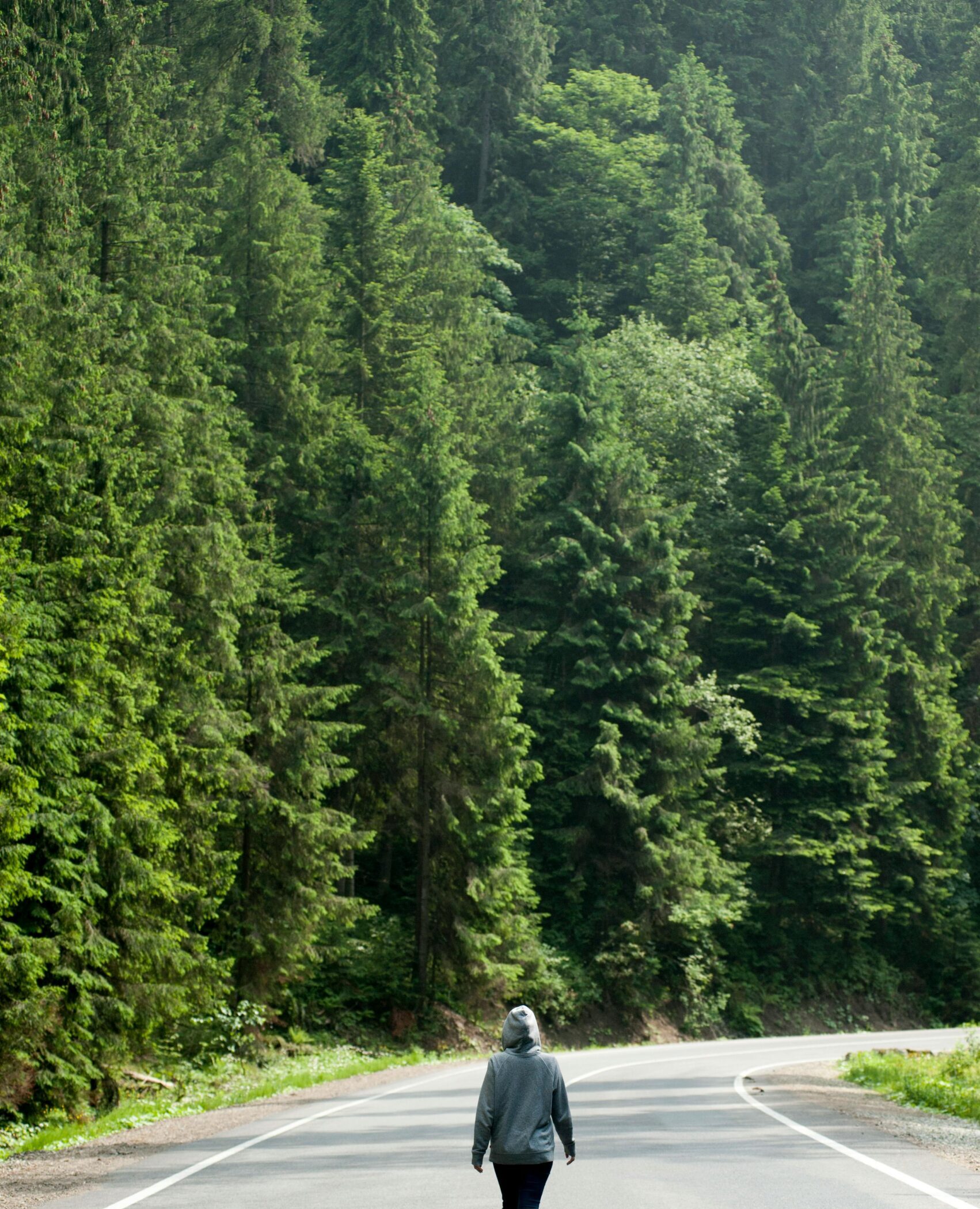 Person walking on a quiet road surrounded by lush forests in Ukraine.